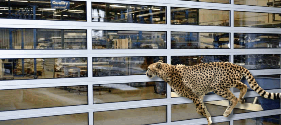 XXL Sektionaltor für besondere Ansprüche